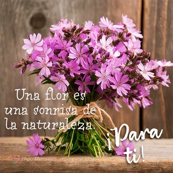 Una flor es una sonrisa de la naturaleza. ¡Para ti!