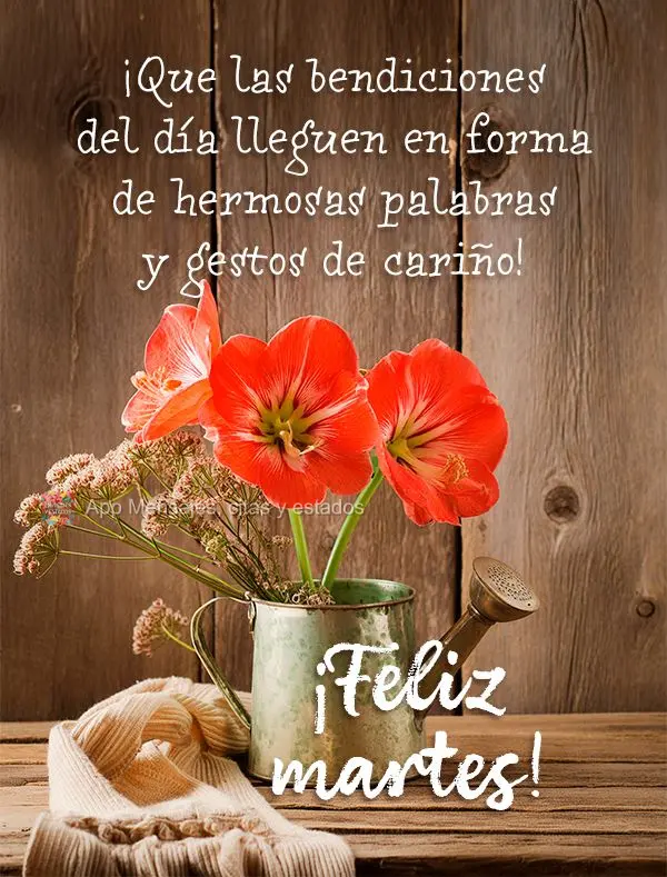 Que as bênçãos do dia venham em força de palavras bonitas e gestos de carinho! Feliz Terça-feira!