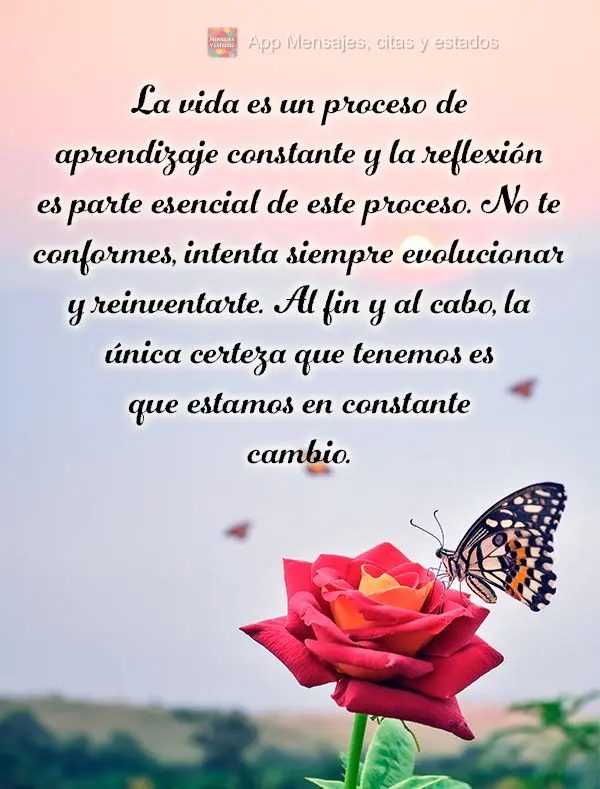 A vida é um constante aprendizado e a reflexão é parte essencial desse processo. Não se acomode, sempre procure evoluir e se reinventar. Afinal, a ú...