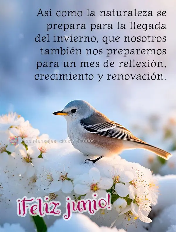 Assim como a natureza se prepara para a chegada do inverno, que possamos também nos preparar para um mês de reflexão, crescimento e renovação. Feliz...