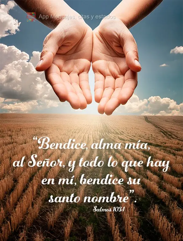 “Bendice, alma mía, al Señor, y todo lo que hay en mí, bendice su santo nombre”. Salmos 103:1