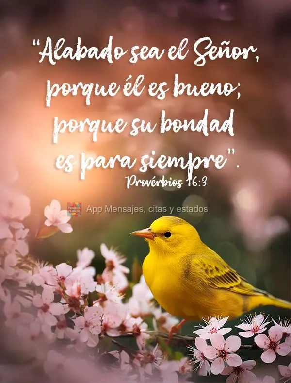 “Alabado sea el Señor, porque él es bueno; porque su bondad es para siempre”. 1 Crónicas 16:34