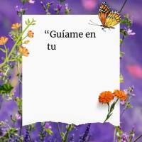 "O Senhor encaminhe os vossos corações no amor de Deus, e na paciência de Cristo." 2 Tessalonicenses 3:5