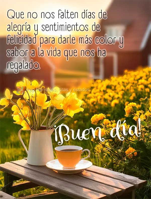 Que não nos falte dias de alegria e sentimentos de felicidade para dar mais cor e sabor à vida que nos foi dada. Bom dia!