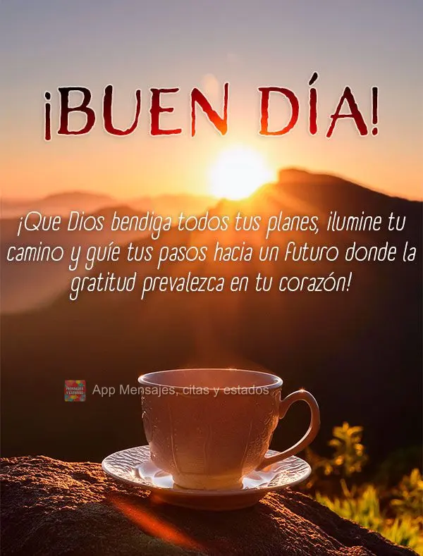 Que Deus abençoe todos os seus planos, ilumine o seu caminho e guie seus passos para um futuro onde a gratidão prevaleça em seu coração! Bom dia!