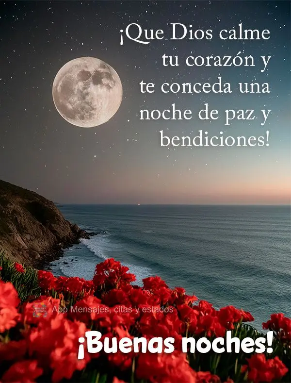 Que Deus possa tranquilizar seu coração e lhe conceber uma noite de paz e bênçãos! Boa noite!