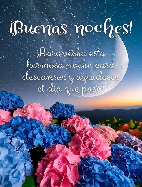 ¡Aprovecha esta hermosa noche para descansar y agradecer el día que pasó! ¡Buenas noches!