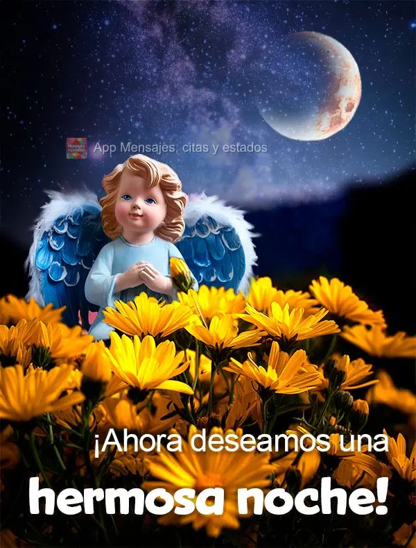 ¡Ahora deseamos una hermosa noche!