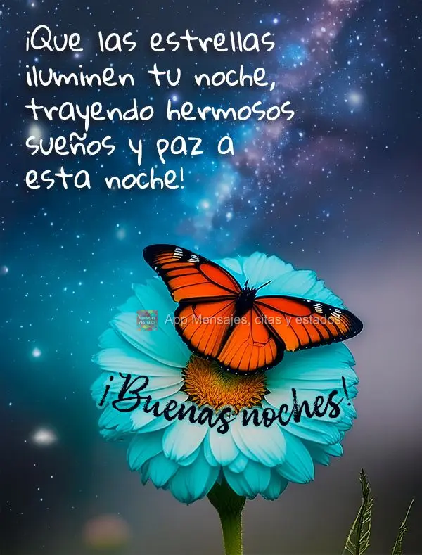 Que as estrelas iluminem a sua noite trazendo lindo sonhos e paz para esta noite! Boa noite!