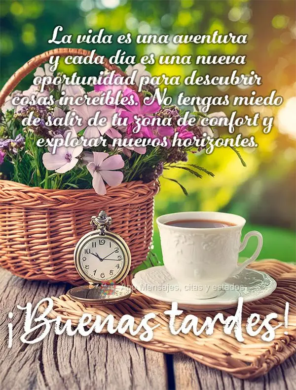 A vida é uma aventura e cada dia é uma nova oportunidade de descobrir coisas incríveis. Não tenha medo de sair da sua zona de conforto e explorar nov...