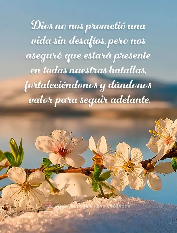 Dios no nos prometió una vida sin desafíos, pero nos aseguró que estará presente en todas nuestras batallas, fortaleciéndonos y dándonos valor para...