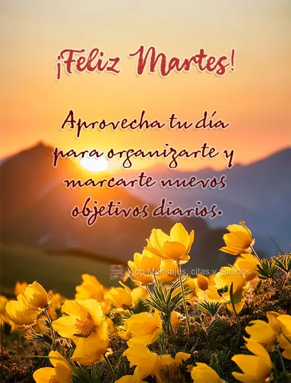Aprovecha tu día para organizarte y marcarte nuevos objetivos diarios. ¡Feliz Martes!