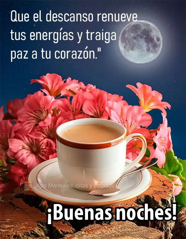 Que o descanso renove as energias e traga paz ao seu coração." Boa noite!