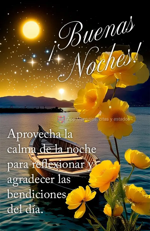 Aproveite a calmaria da noite para refletir e agradecer pelas bênçãos do dia. Boa noite!