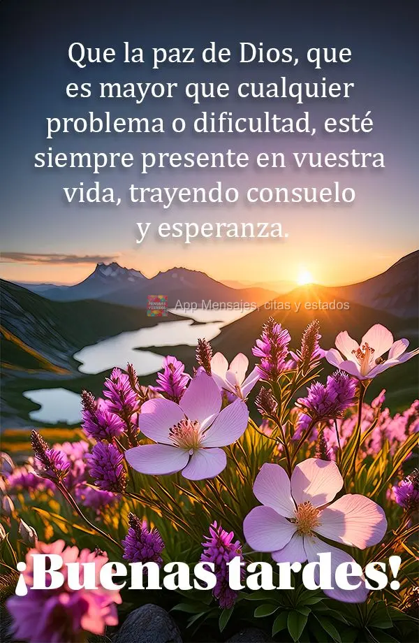 Que a paz de Deus, que é maior do que qualquer problema ou dificuldade, esteja sempre presente em sua vida, trazendo conforto e esperança. Boa tarde!...
