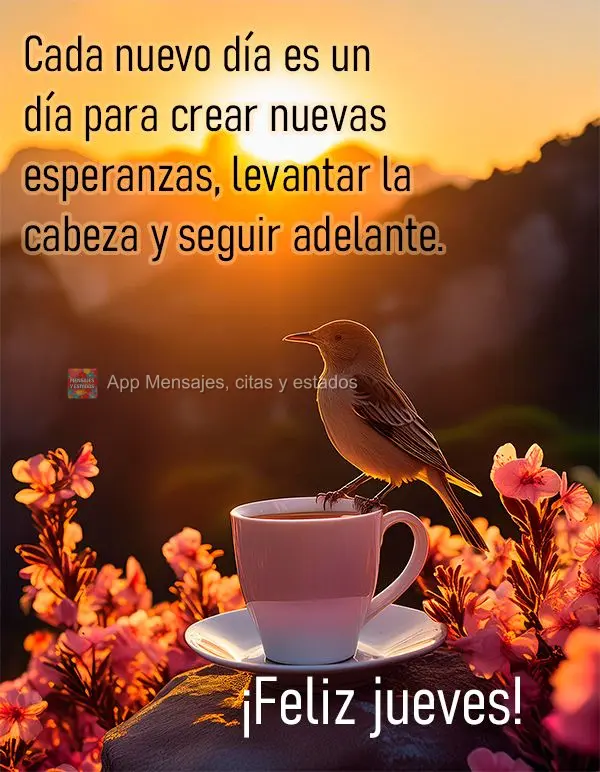 Cada nuevo día es un día para crear nuevas esperanzas, levantar la cabeza y seguir adelante. ¡Feliz jueves!