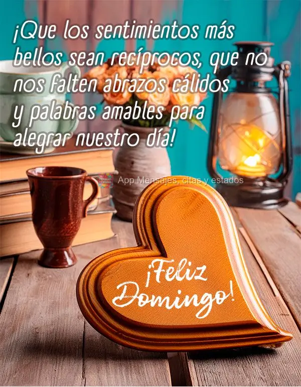 ¡Que los sentimientos más bellos sean recíprocos, que no nos falten abrazos cálidos y palabras amables para alegrar nuestro día! ¡Feliz Domingo!