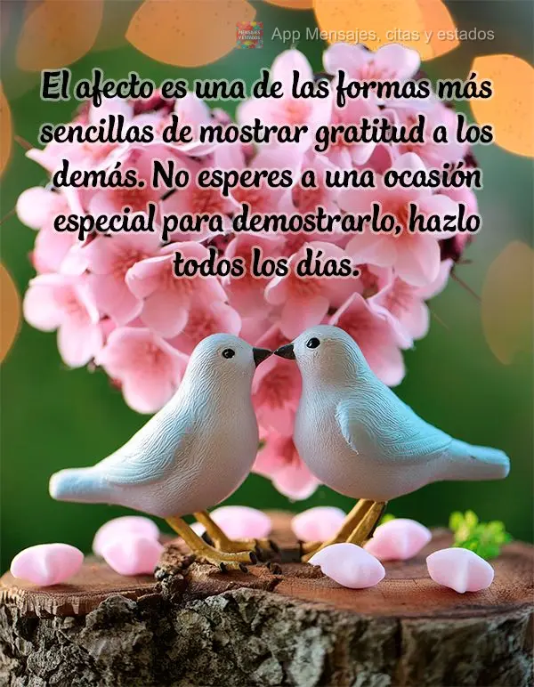 El afecto es una de las formas más sencillas de mostrar gratitud a los demás. No esperes a una ocasión especial para demostrarlo, hazlo todos los día...