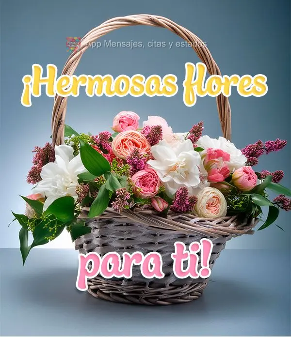 ¡Hermosas flores para ti!