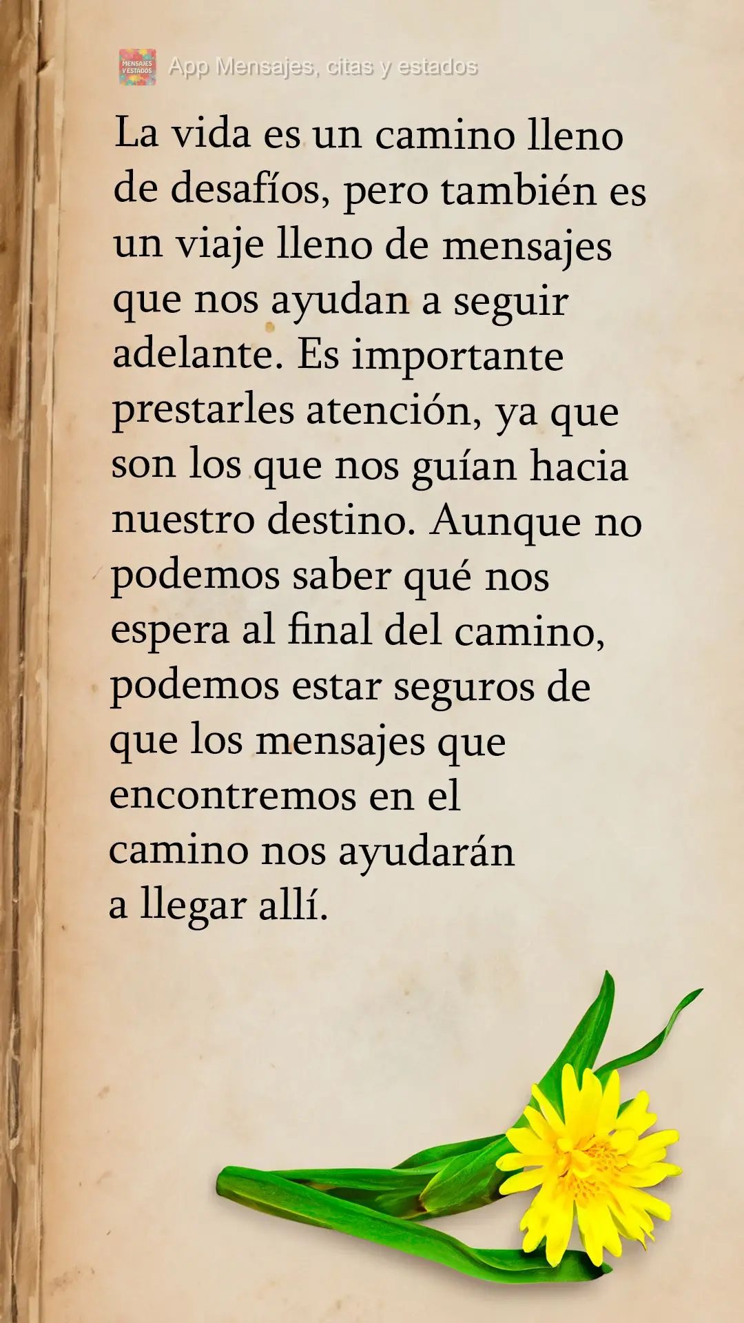 A vida é um caminho repleto de desafios, mas também é uma jornada repleta de mensagens que nos ajudam a seguir em frente. É importante estar atento a...