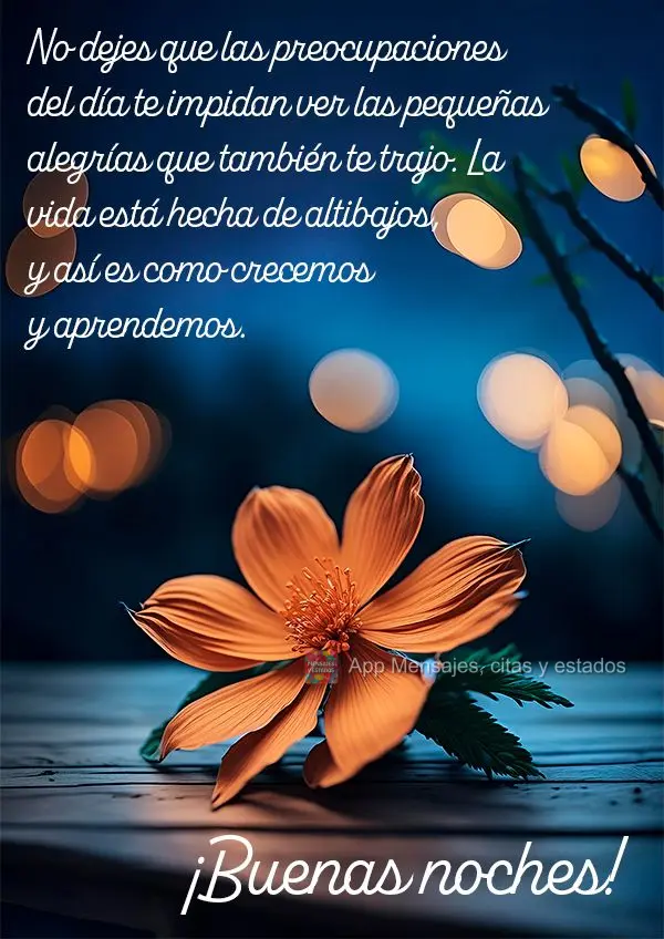 Não deixe que as preocupações do dia te impeçam de enxergar as pequenas alegrias que ele também trouxe. A vida é feita de altos e baixos, e é assi...