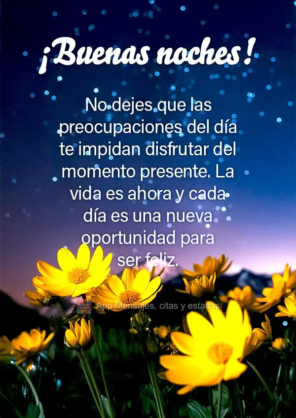 Não deixe que as preocupações do dia te impeçam de aproveitar o momento presente. A vida é agora, e cada dia é uma nova chance para ser feliz. Boa ...