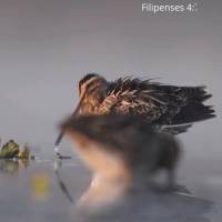 E a paz de Deus, que excede todo entendimento, guardará o vosso coração e a vossa mente em Cristo Jesus. Filipenses 4:7