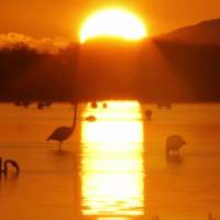 Porque a mente da carne é morte, mas a mente do Espírito é vida e paz. Romanos 8:6