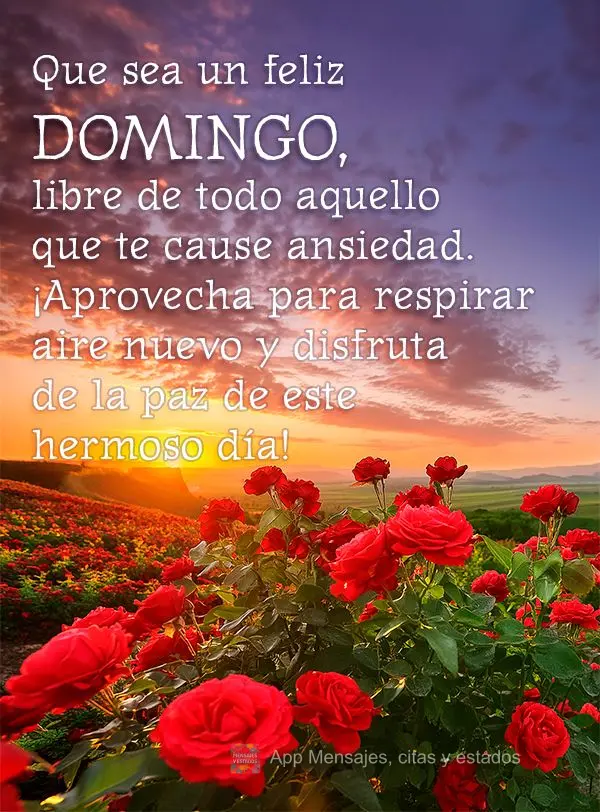 Que sea un feliz domingo, libre de todo aquello que te cause ansiedad. ¡Aprovecha para respirar aire nuevo y disfruta de la paz de este hermoso día!