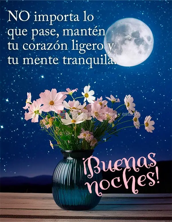 NO importa lo que pase, mantén tu corazón ligero y tu mente tranquila. ¡Buenas noches!