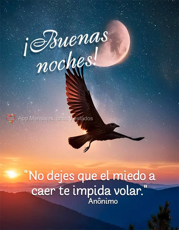 "No dejes que el miedo a caer te impida volar." ¡Buenas noches! Anónimo