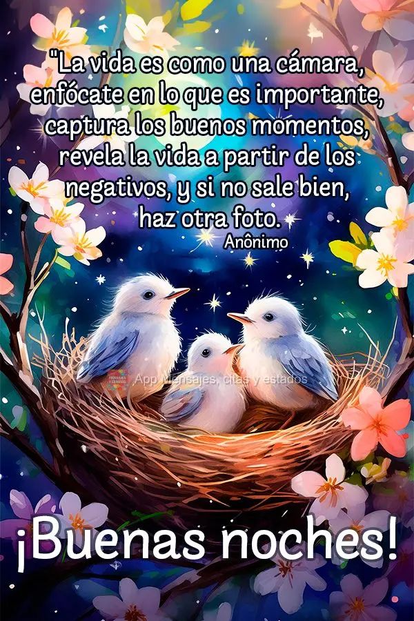  "A vida é como uma câmera, foque no que é importante, capture os bons momentos, desenvolva a vida a partir dos negativos e, se as coisas não derem c...