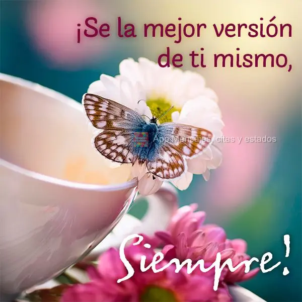 Seja a melhor versão de si mesmo. Sempre!