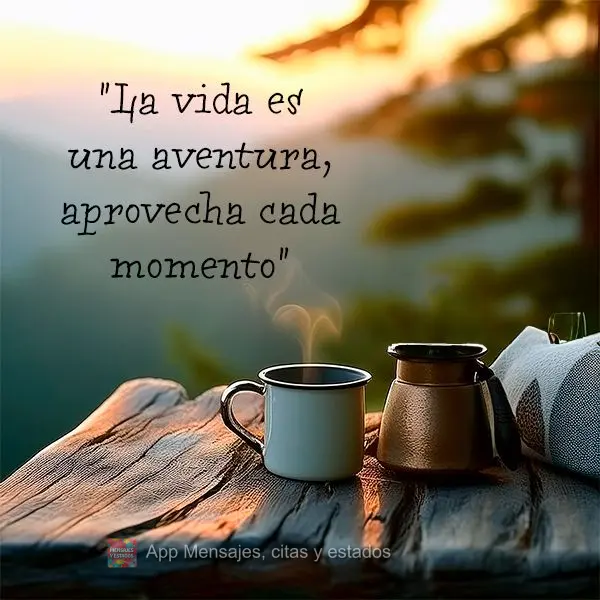 "A vida é uma aventura, aproveite cada momento."