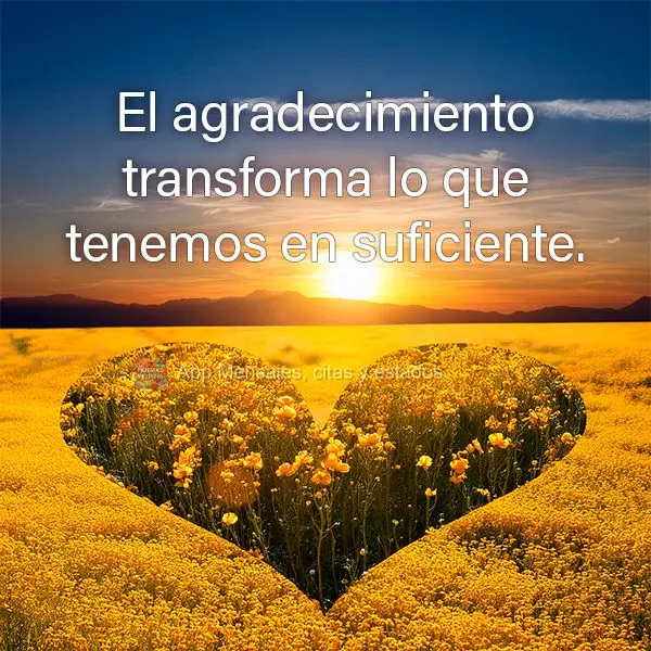 A gratidão transforma o que temos em suficiente.