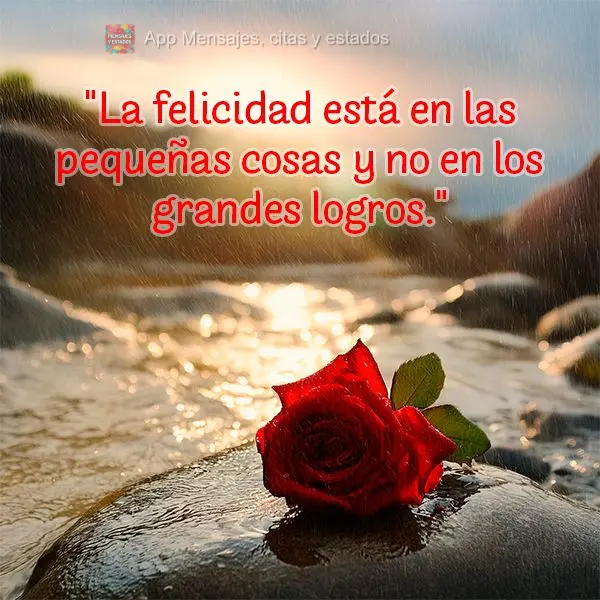 "La felicidad está en las pequeñas cosas y no en los grandes logros."