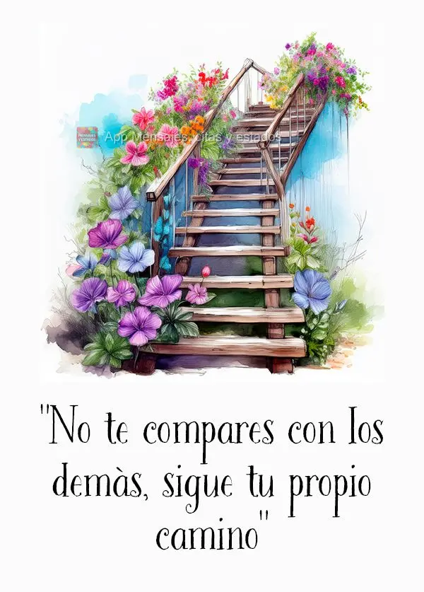 "Não se compare com os outros, siga o seu próprio caminho."