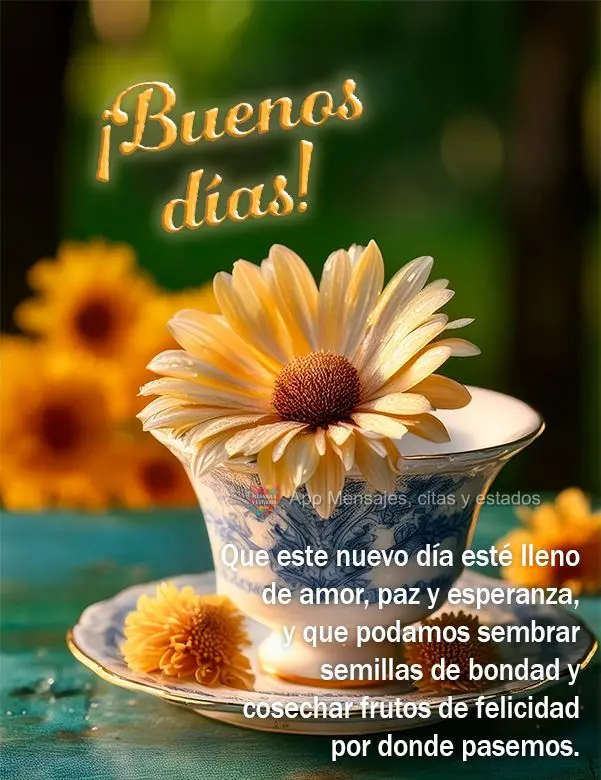 Que este novo dia seja cheio de amor, paz e esperança e que possamos plantar sementes de bondade e colher frutos de felicidade por onde passarmos. Bom d...