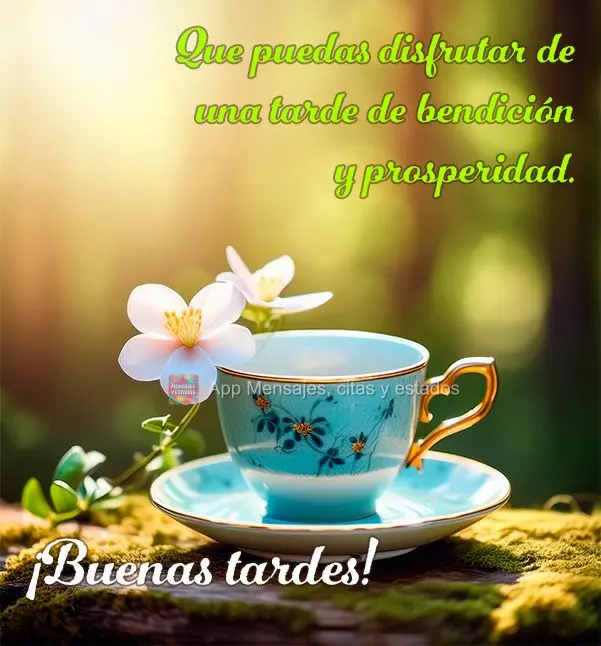 Que você possa desfrutar de uma tarde de bênção e prosperidade! Boa tarde!