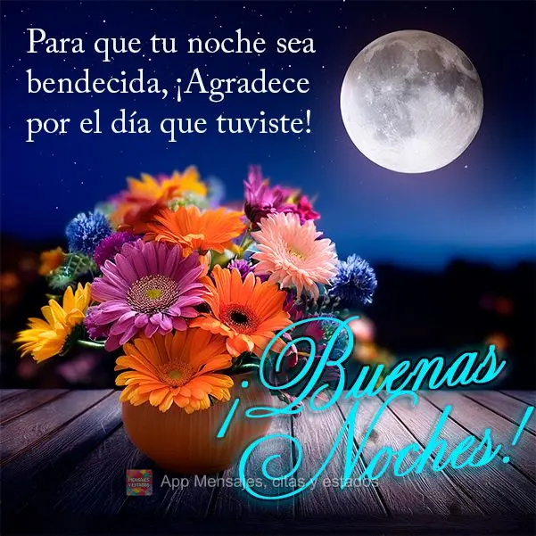 Para que sua noite seja abençoada agradeça pelo dia vivido! Boa noite!