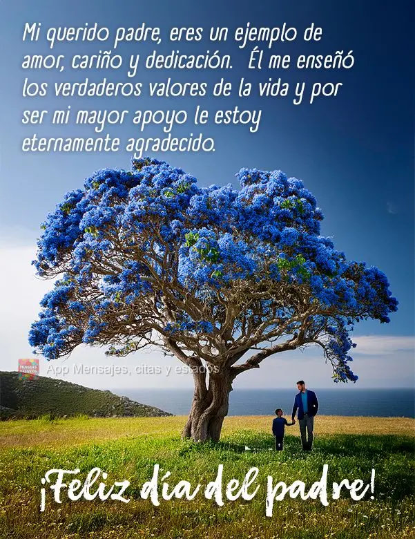 Meu querido pai, você é um exemplo de amor, carinho e dedicação.  Me ensinou os verdadeiros valores da vida e por ser o meu maior apoio eu sou eterna...