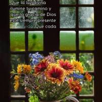 Que a luz divina ilumine o seu caminho e que a graça de Deus esteja sempre presente em sua vida. Que cada momento do seu dia seja abençoado e repleto d...