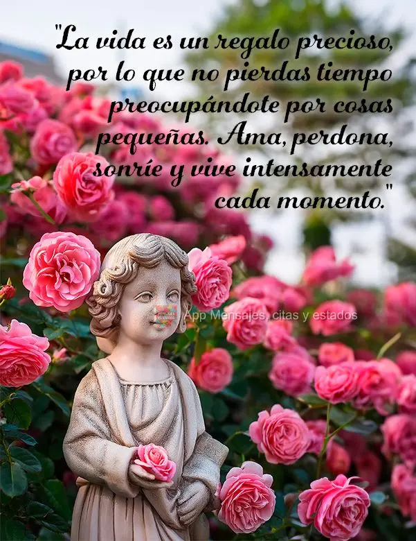 "La vida es un regalo precioso, por lo que no pierdas tiempo preocupándote por cosas pequeñas. Ama, perdona, sonríe y vive intensamente cada momento."...