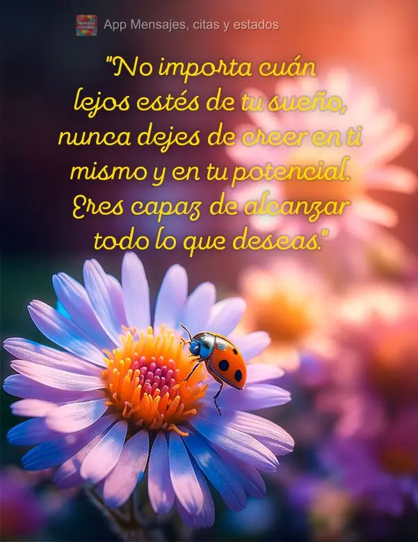 "No importa cuán lejos estés de tu sueño, nunca dejes de creer en ti mismo y en tu potencial. Eres capaz de alcanzar todo lo que deseas."