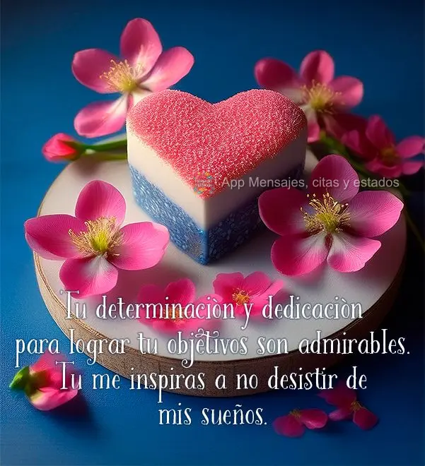 Tu determinación y dedicación para lograr tu objetivos son admirables. Tu me inspiras a no desistir de mis sueños.