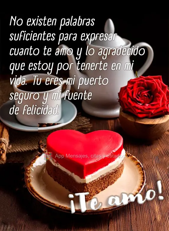 Não existem palavras suficientes para expressar o quanto te amo e o quanto sou grato por ter você em minha vida. Você é meu porto seguro e minha font...