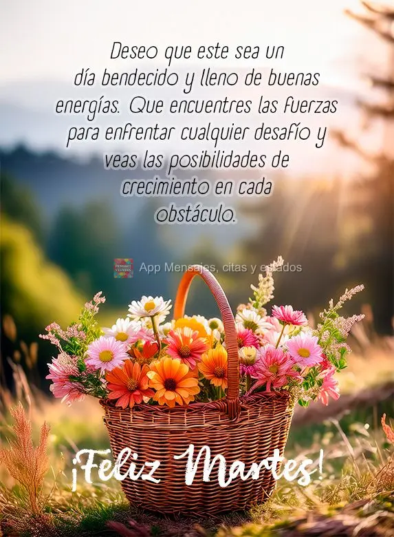 Deseo que este sea un día bendecido y lleno de buenas energías. Que encuentres las fuerzas para enfrentar cualquier desafío y veas las posibilidades d...