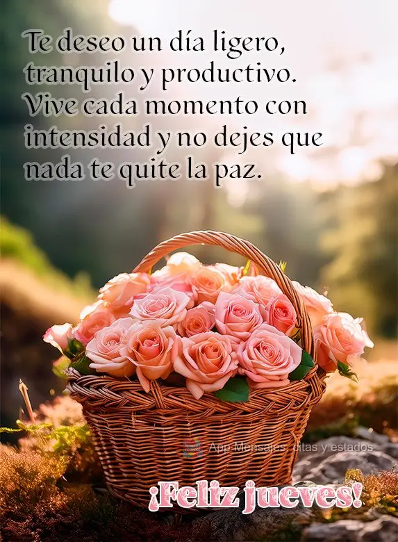 Desejo um dia leve, tranquilo e produtivo. Viva cada momento com intensidade e não deixe que nada te tire a paz. Feliz Quarta-feira!