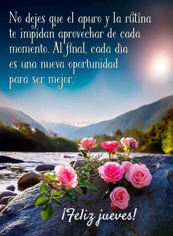 No dejes que el apuro y la rutina te impidan aprovechar de cada momento. Al final, cada día es una nueva oportunidad para ser mejor. ¡Feliz jueves!