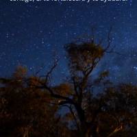 Não tema, pois Deus está com você, Ele te fortalecerá e te ajudará. Boa noite!